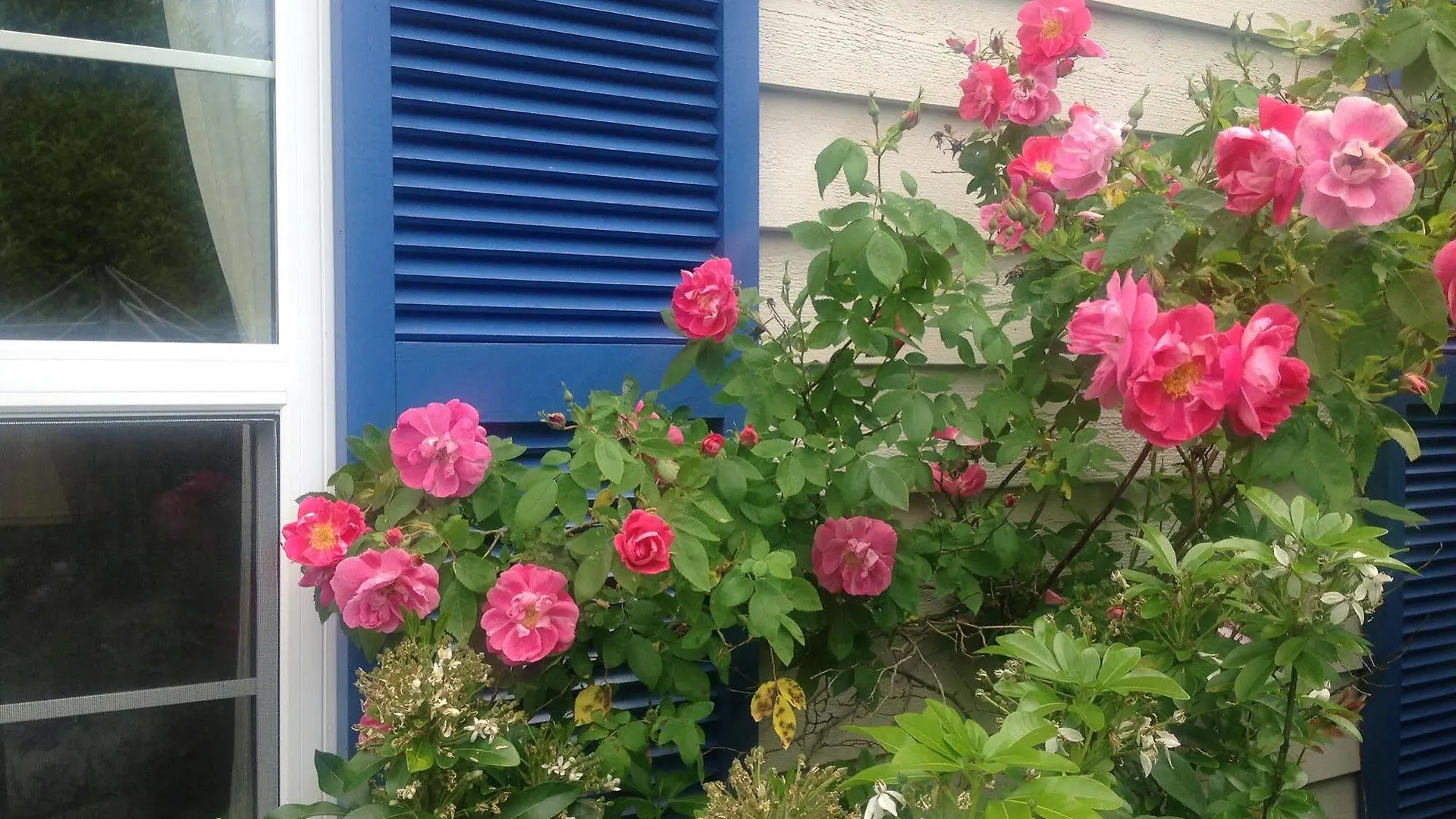 Bed & Breakfast Belle Maison Aupres De La Mer Sidney